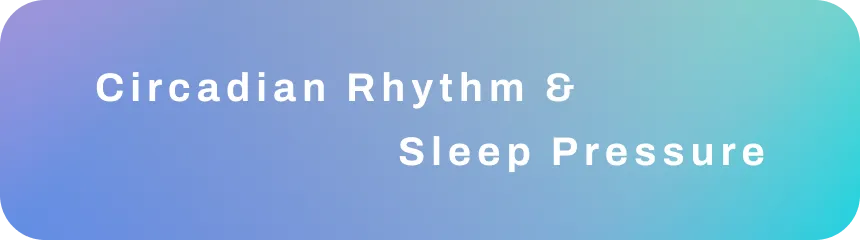 Text saying: "Circadian Rhythm &#x26; Sleep Pressure"